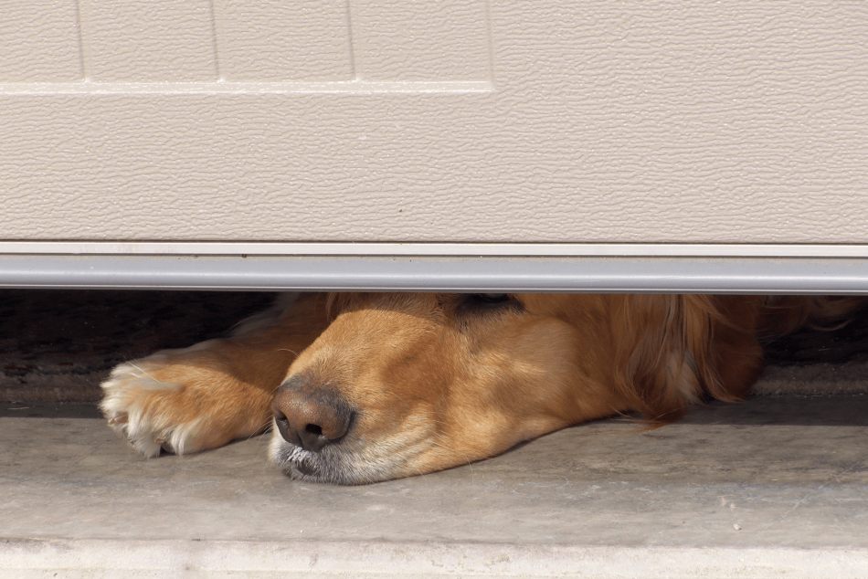 garage doors safety features
